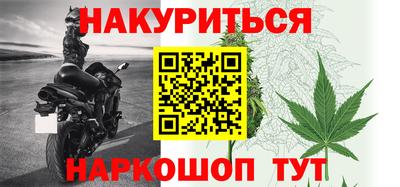 прущие грибы Гусев