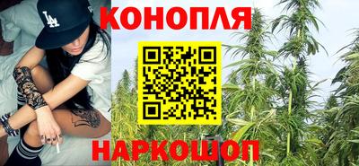 прущие грибы Гусев