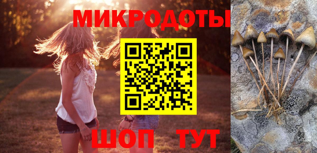 Галлюциногенные грибы прущие грибы  Вход с VPN  Псилоцибиновые грибы прущие грибы  Нижний Тагил 
