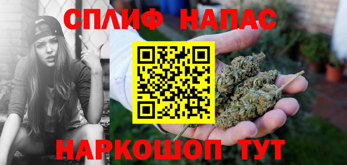 Бошки марихуана сатива Нижний Тагил